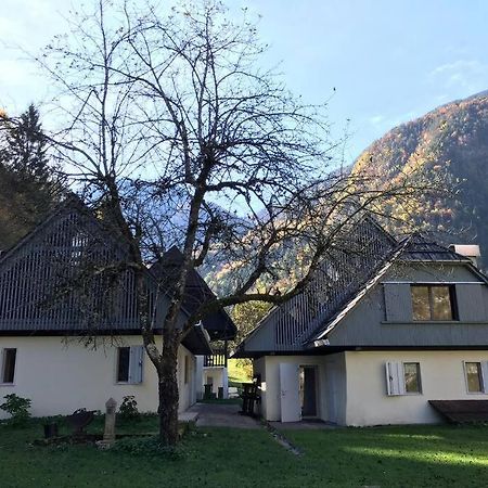 Cozy Cottage In The Heart Of The Triglav National Park Soča Exteriör bild