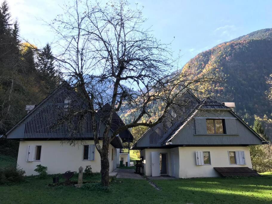 Cozy Cottage In The Heart Of The Triglav National Park Soča Exteriör bild