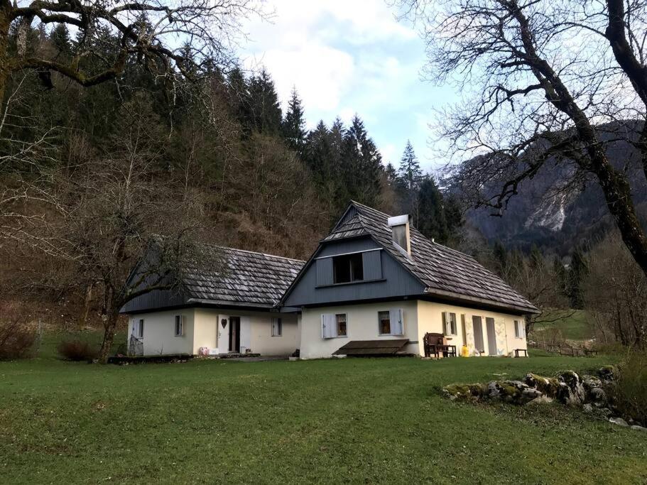 Cozy Cottage In The Heart Of The Triglav National Park Soča Exteriör bild
