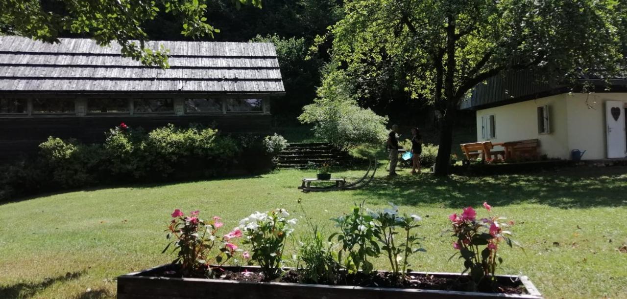 Cozy Cottage In The Heart Of The Triglav National Park Soča Exteriör bild
