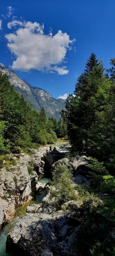 Cozy Cottage In The Heart Of The Triglav National Park Soča Exteriör bild