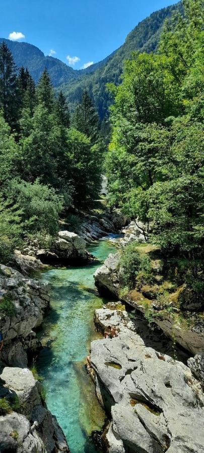 Cozy Cottage In The Heart Of The Triglav National Park Soča Exteriör bild