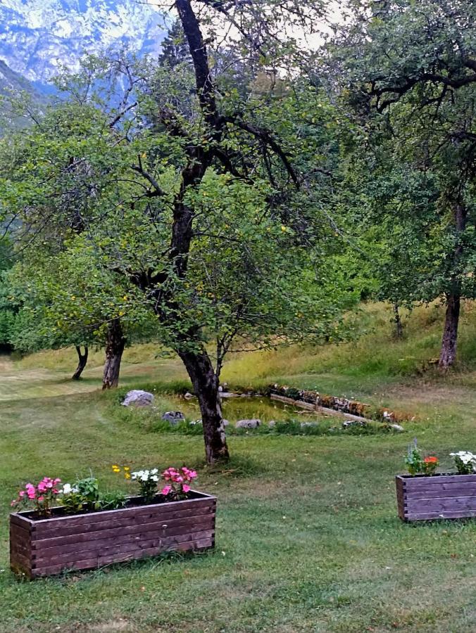 Cozy Cottage In The Heart Of The Triglav National Park Soča Exteriör bild