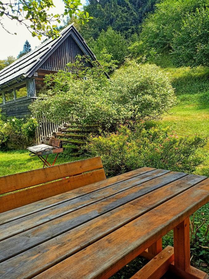 Cozy Cottage In The Heart Of The Triglav National Park Soča Exteriör bild