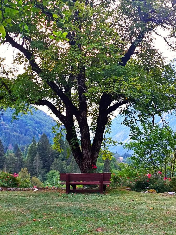 Cozy Cottage In The Heart Of The Triglav National Park Soča Exteriör bild